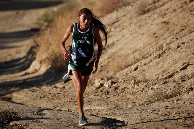Farmington's Kamalani Anitielu runs up the last pathway toward the finish line during the District 2-5A cross country championships Friday, Nov. 2, 2018, at Pinon Hills Community Church in Farmington. The 2020 cross country season is scheduled to start on Sept. 14.
