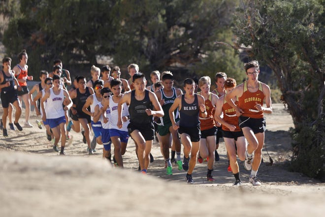Competitors in the boys race come up the hill on the second turn during the District 2-5A cross country championships Friday at Pinon Hills Community Church in Farmington.