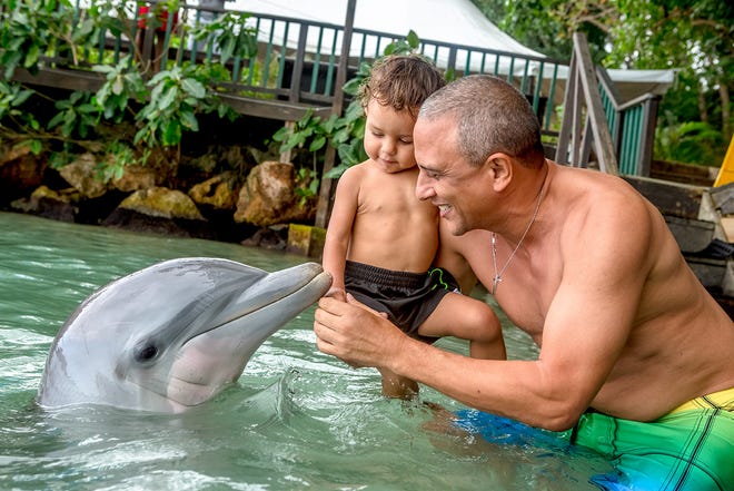 It’s recommended to make advance reservations for the dolphin experiences at Dolphin Cove since slots are limited.