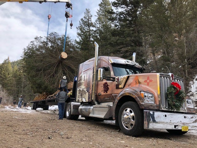 The 60-foot blue spruce is situated on Nov. 6 for transportation from Carson National Forest to Washington, D.C.