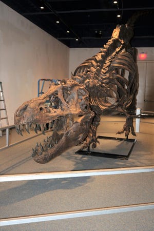 This T. rex replica will be one of the main attractions when the Farmington Museum at Gateway Park presents its 
Dinosaur Discovery Day Nov. 23.