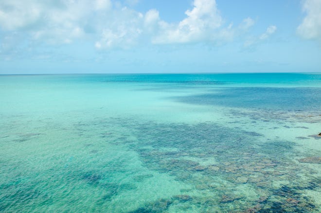 With water so clear, it’s easy to spot marine life around Andros Island.