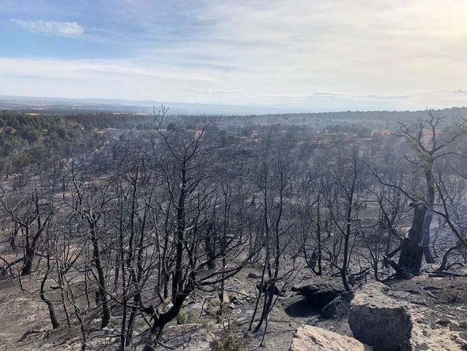 This photo posted on social media June 29 by Durango Interagency Fire Dispatch shows area burned by the Spring Fire in Colorado. It is burning about 14 miles west of Cortez and is about 155 acres in size.