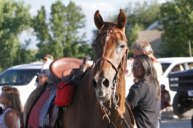 A horse stands at the end of the Freedom March, Saturday, July 11, 2020, in Farmington.