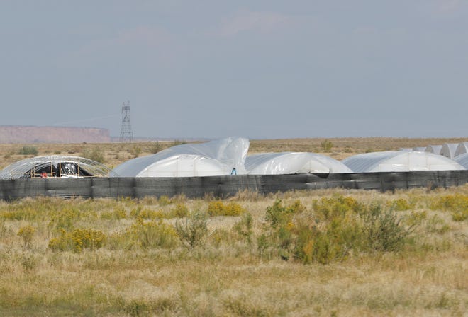 The wind moves the covering on a greenhouse at a hemp farm near Mesa farm Road in Shiprock on Sept. 23.