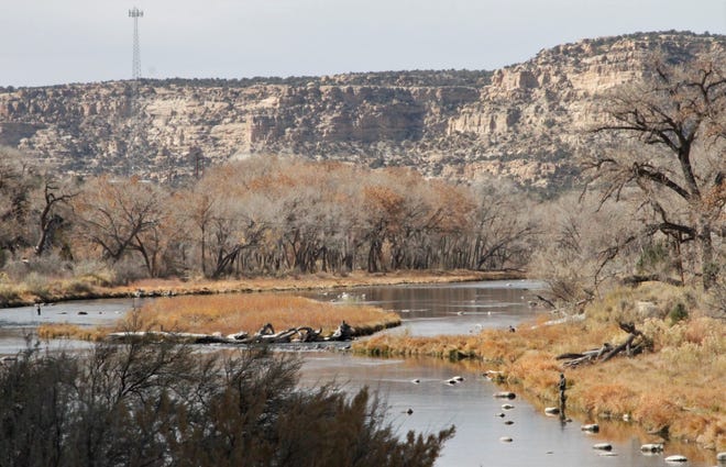 The San Juan River is pictured, Friday, Nov. 6, 2020, downstream of Navajo Dam.