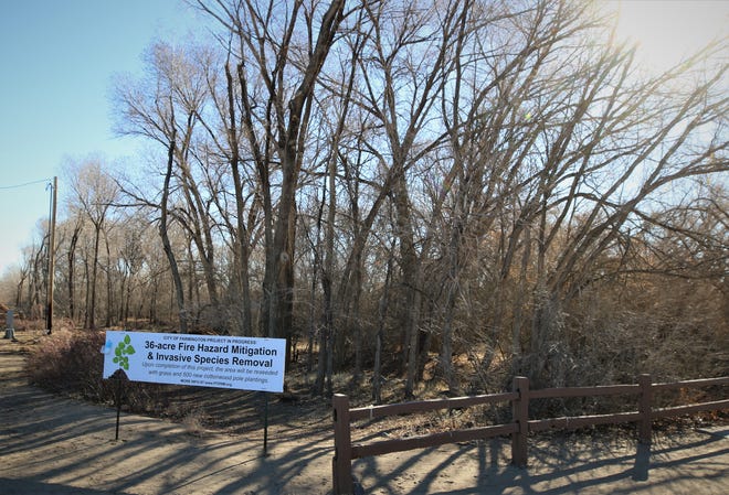 A sign is posted at one of the entrances to Berg Park in Farmington on March 2, 2021, alerting visitors to a project that has led to the thinning of overgrown areas of the park and the removal of invasive species.