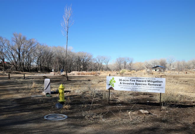 A sign in Animas Park near the Xeriscape garden alerts visitors about a project by Farmington officials to remove invasive tree species and reduce the fuel load in overgrown areas.
