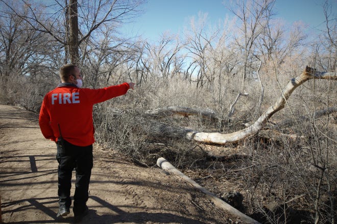 Battalion Chief Tom Miller of the Farmington Fire Department points out some of the work that has been done to remove invasive tree species and thin overgrown areas in Berg Park during a walk-through on March 2, 2021.