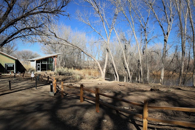 A project to thin overgrown areas of Animas Park and remove invasive tree species has opened up the view of the duck pond adjacent to the Riverside Nature Center.