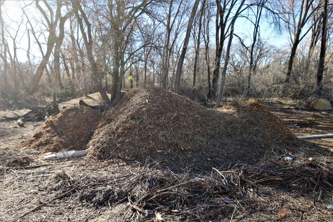 A pile of mulch from downed trees is pictured in Animas Park in Farmington on March 2, 2021.