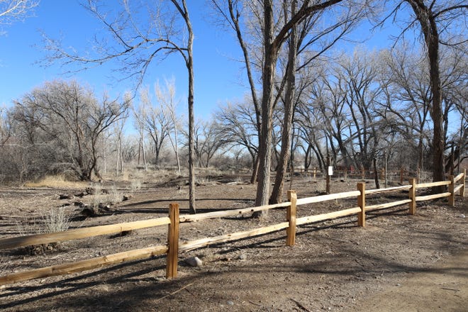 Tree stumps are visible behind a fence in a formerly overgrown area of Animas Park near the Riverside Nature Center on March 2, 2021.