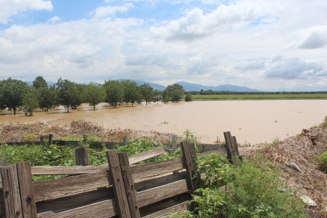 A flooded orchard and field is pictured near La Union, N.M., where heavy rainfall caused substantial flooding beginning Thursday, Aug. 12, 2021.