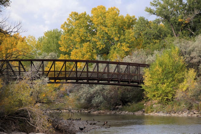 The Berg Bridge in Berg Park is seen surrounded by autumn leaf colors on Oct. 9 in Farmington.