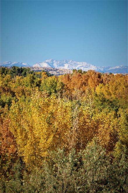 A view of the snow-capped La Plata Mountains from the north side of Crouch Mesa.