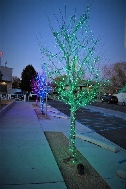 Colored lights adorn a row of trees on the lawn of the Farmington Civic Center on Dec. 2 after a Christmas tree-lighting ceremony.