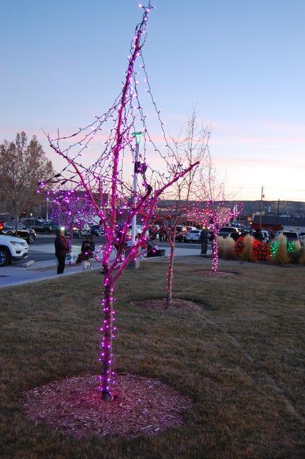 Brightly lit trees adorn the lawn of the Farmington Civic Center after the community Christmas tree-lighting ceremony on Dec. 2.