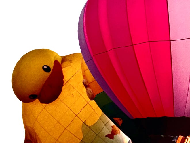 That's one big bird. A rapidly-filling balloon called Rubber Ducky seems to be peering at the crowd from behind its inflating neighbor as hot air balloons began filling Sept. 23 during a balloon glow at San Juan College.